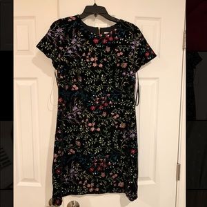 Calvin Klein Velvet Embroidered Mini Dress